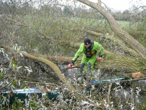 River Stour tree paddle