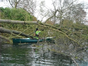 Tree paddling